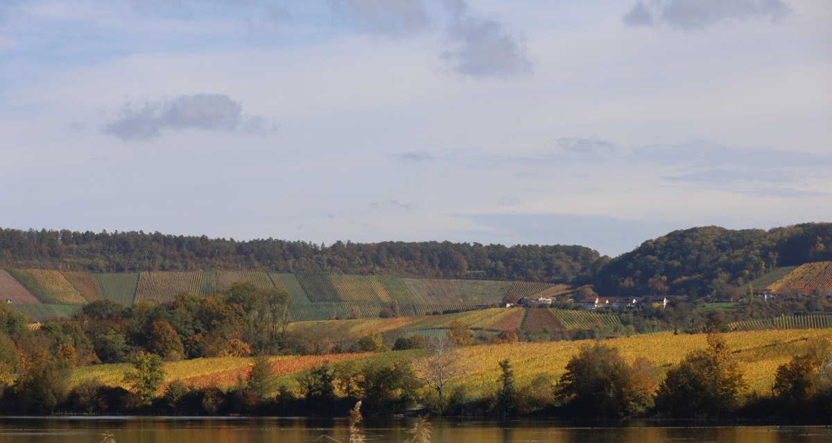 Herbstliche Landschaft mit einem See im Vordergrund, umgeben von bunten Weinbergen und bewaldeten H&uuml;geln unter einem leicht bew&ouml;lkten Himmel., &copy; NPSFW