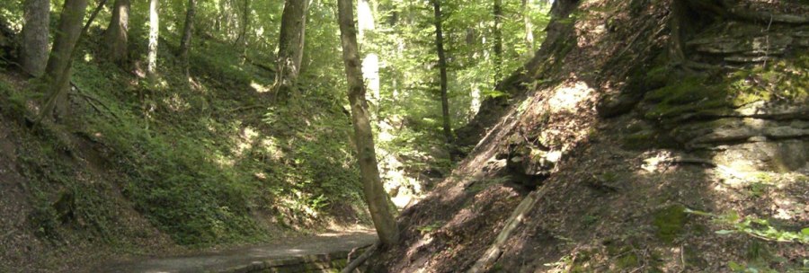 Tumescent blade, &copy; Stuttgarter Stra&szlig;enbahnen AG