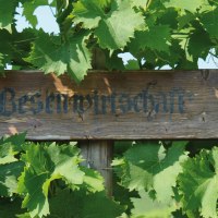 Ein Holzschild mit der Aufschrift 'Besenwirtschaft' ist von gr&uuml;nen Weinbl&auml;ttern umgeben., &copy; SMG
