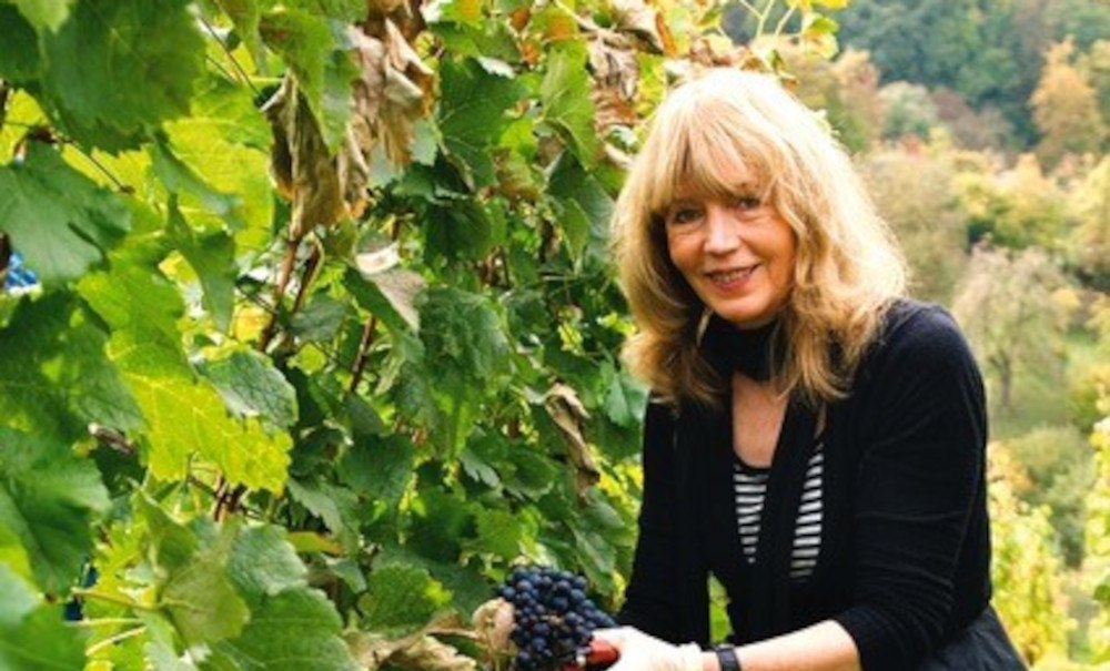 A woman with blonde hair harvests grapes in a green vineyard. She wears gloves and smiles at the camera., © Elsbeth Koch A woman with blonde hair harvests grapes in a green vineyard. She wears gloves and smiles at the camera., © Elsbeth Koch