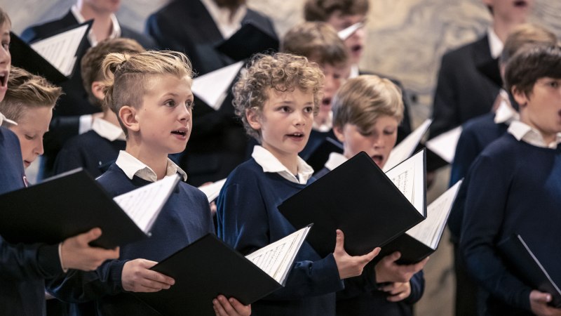 Ein Knabenchor singt, während sie Notenblätter halten. Die Jungen tragen blaue Pullover und weiße Hemden. Im Hintergrund sind weitere Sänger zu sehen., © 2022, Knabenchor collegium iuvenum Stuttgart