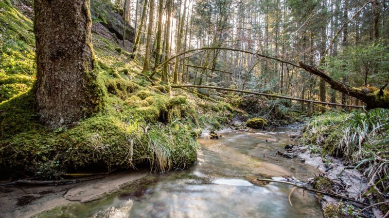 Sulzbach-Laufen_Wasserwelt Sulzbach-Laufen_Wasserwelt