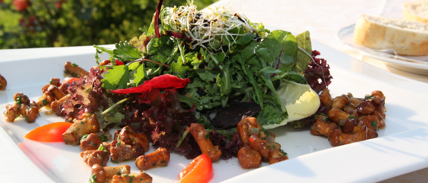 Ein Teller mit gemischtem Salat, Pfifferlingen und Brot im Freien serviert. Im Hintergrund blühende Blumen., © Badhotel Restaurant Stauferland