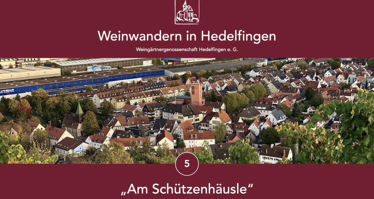 Panoramic view of Hedelfingen with vineyards in the foreground. The title "Weinwandern in Hedelfingen" and "Am Schützenhäusle" are superimposed., © Lukas Alperowitz Panoramic view of Hedelfingen with vineyards in the foreground. The title "Weinwandern in Hedelfingen" and "Am Schützenhäusle" are superimposed., © Lukas Alperowitz
