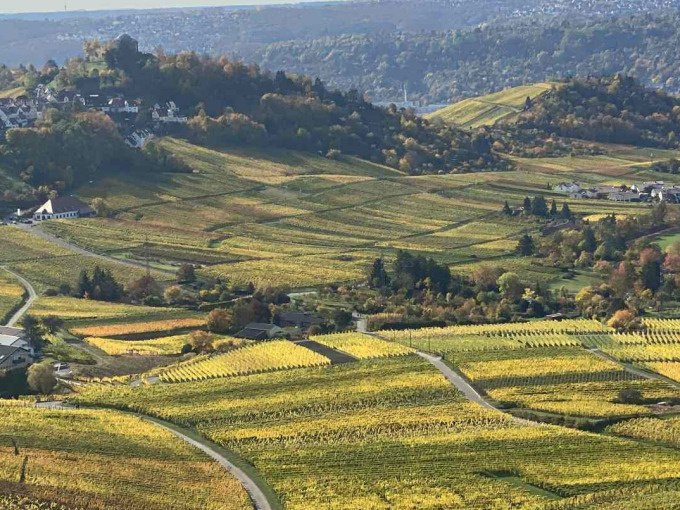 Vineyards on the Herzogenberg in the evening sun, with rolling hills and autumnal colors. A picturesque landscape., © Weingenuss Stuttgart Vineyards on the Herzogenberg in the evening sun, with rolling hills and autumnal colors. A picturesque landscape., © Weingenuss Stuttgart