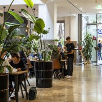 Modern café with large plants, tables and a waiter. People sit and enjoy their time. Bright, inviting atmosphere., © SMG Stuttgart Marketing GmbH - Sarah Schmid Modern café with large plants, tables and a waiter. People sit and enjoy their time. Bright, inviting atmosphere., © SMG Stuttgart Marketing GmbH - Sarah Schmid