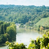 View of a river landscape with a bend, surrounded by green vineyards and dense forest., © Weingut Zaißerei