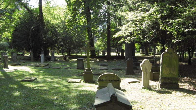 Gräber auf dem Hoppenlaufriedhof, umgeben von Bäumen. Sonnenlicht fällt durch das Blätterdach und beleuchtet die Grabsteine und den Boden., © Stuttgart-Marketing GmbH