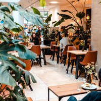 Ein gemütliches Café mit modernen Holzmöbeln, großen Pflanzen und Gästen, die an Tischen sitzen. Die Atmosphäre ist einladend und lebendig., © SMG, Sarah Schmid