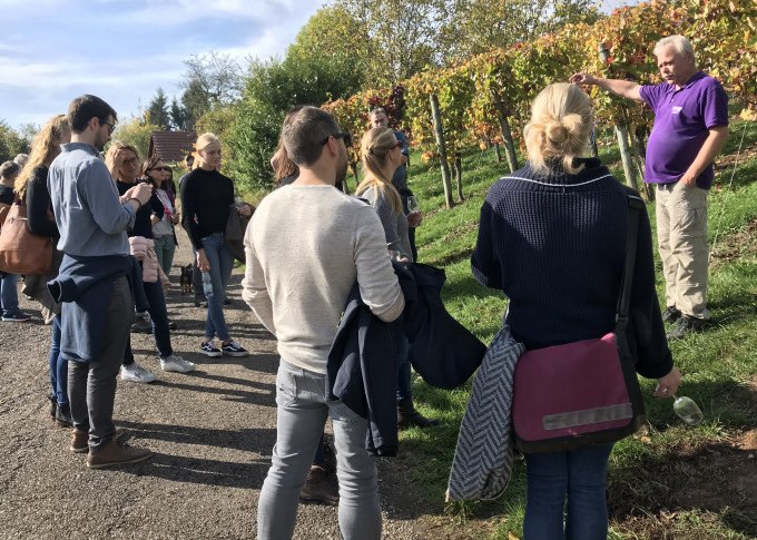 Eine Gruppe von Menschen steht in einem Weinberg und h&ouml;rt einem F&uuml;hrer zu. Die Reben sind herbstlich gef&auml;rbt., &copy; Weingenuss Stuttgart