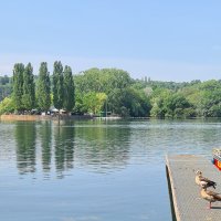 Max-Eyth-See in Stuttgart mit Enten auf einem Steg, einem Boot und grüner Landschaft im Hintergrund., © Stuttgart-Marketing GmbH, Sandra Nörpel