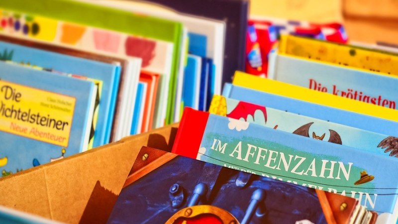 Bunte Kinderb&uuml;cher in einem Karton, darunter Titel wie 'Die Wichtelsteiner' und 'Im Affenzahn'., &copy; Stephanie Kummert
