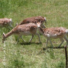 Wild Kochkurs, &copy; links im Bild