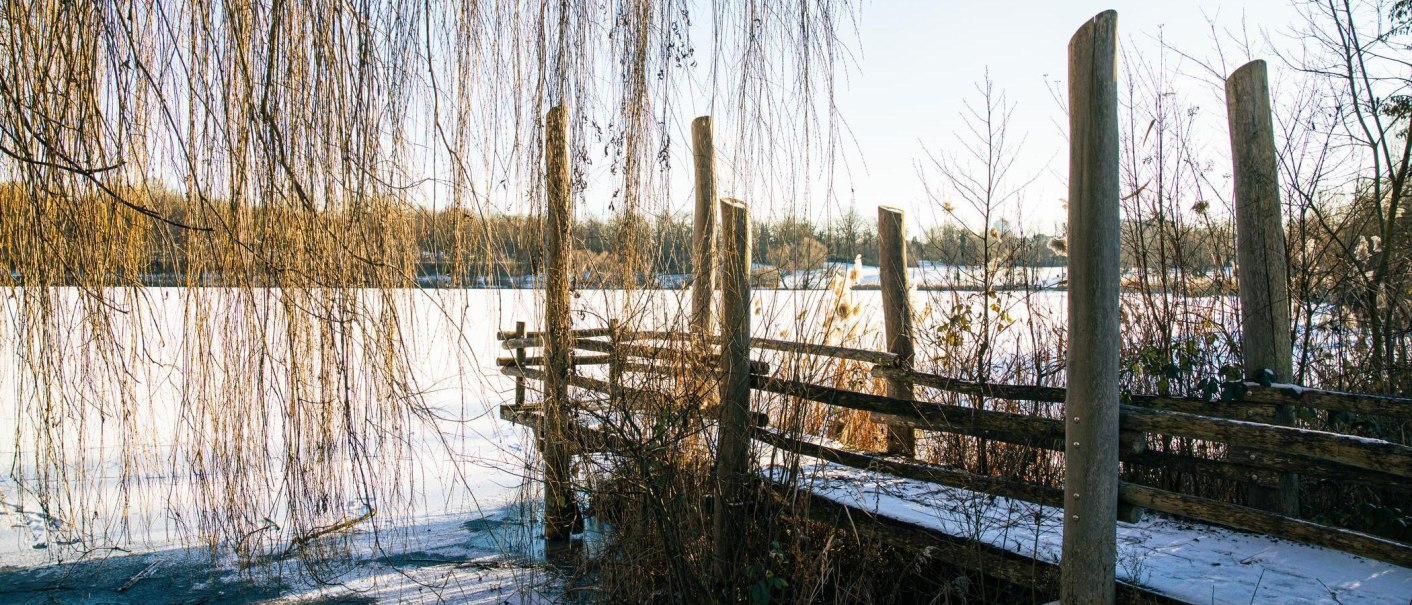 A snow-covered jetty on Lake Max-Eyth, surrounded by hanging willow branches and winter vegetation. The lake is partially frozen over., © Stuttgart-Marketing GmbH, Sarah Schmid A snow-covered jetty on Lake Max-Eyth, surrounded by hanging willow branches and winter vegetation. The lake is partially frozen over., © Stuttgart-Marketing GmbH, Sarah Schmid