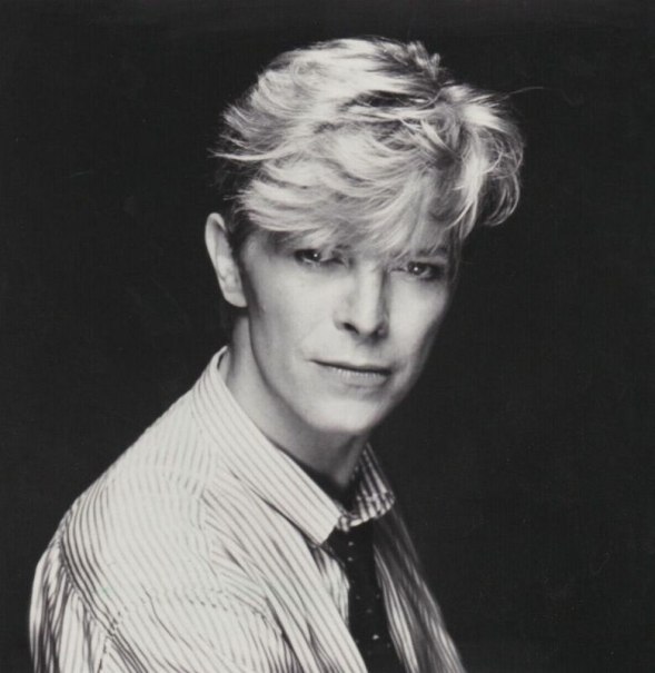 Bowie on Strings, © Stuttgarter Kammerorchester e.V. Bowie on Strings, © Stuttgarter Kammerorchester e.V.