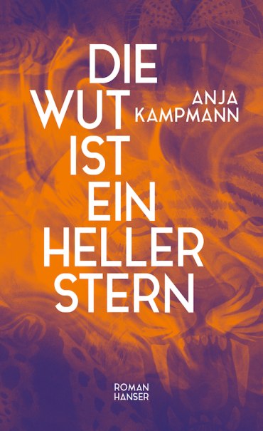Die Wut ist ein heller Stern, © Literaturhaus Stuttgart