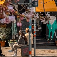 Ein gem&uuml;tliches Stra&szlig;encaf&eacute; mit gelbem Sonnenschutz, Regenbogenflagge und bl&uuml;henden Kirschbl&uuml;ten. Menschen sitzen entspannt davor., &copy; Caf&eacute; Moody, Stuttgart