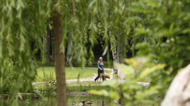 Eine Frau spaziert mit einem Hund im Schlossgarten Stuttgart. Im Vordergrund sind B&auml;ume und ein Teich mit Enten zu sehen., &copy; Stuttgart-Marketing GmbH, Christoph D&uuml;pper