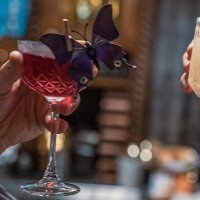 Zwei Hände stoßen mit Cocktails an, einer rot mit Schmetterlingsdeko, der andere klar mit Eiswürfel., © SMG, Martina Denker