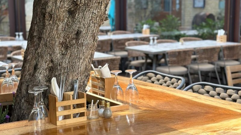 An outdoor restaurant table with a tree in the middle, surrounded by chairs. The table is set with glasses and cutlery., &copy; &copy;Meze Meze