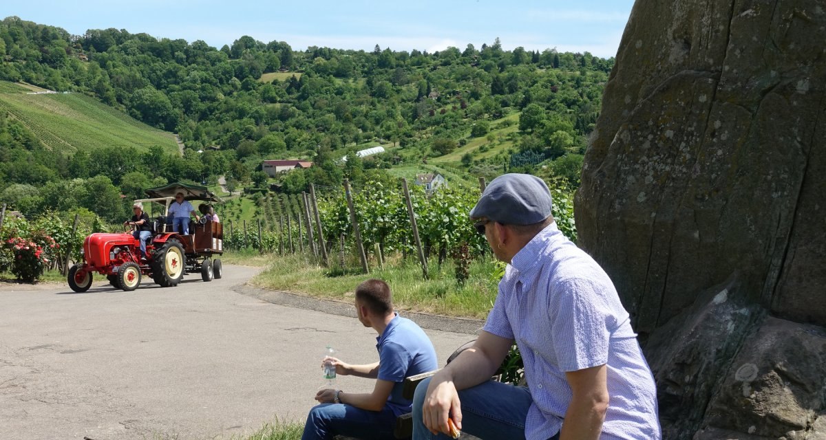 Zwei Männer sitzen auf einer Bank im Weinberg. Ein roter Traktor mit Anhänger fährt vorbei. Im Hintergrund sind grüne Hügel und Weinreben zu sehen., © Stuttgart-Marketing GmbH Zwei Männer sitzen auf einer Bank im Weinberg. Ein roter Traktor mit Anhänger fährt vorbei. Im Hintergrund sind grüne Hügel und Weinreben zu sehen., © Stuttgart-Marketing GmbH