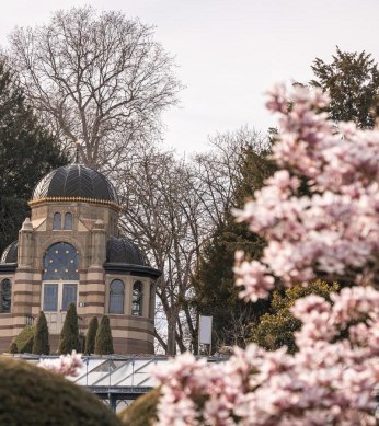 Wilhelma Magnolienblüte, © Stuttgart-Marketing GmbH, Sarah Schmid