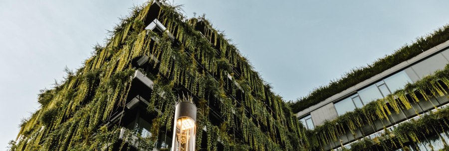 A modern building with a green façade covered with hanging plants. In the foreground is an illuminated street lamp., © by Canto A modern building with a green façade covered with hanging plants. In the foreground is an illuminated street lamp., © by Canto