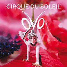 Cirque du Soleil - OVO, © links im Bild Cirque du Soleil - OVO, © links im Bild