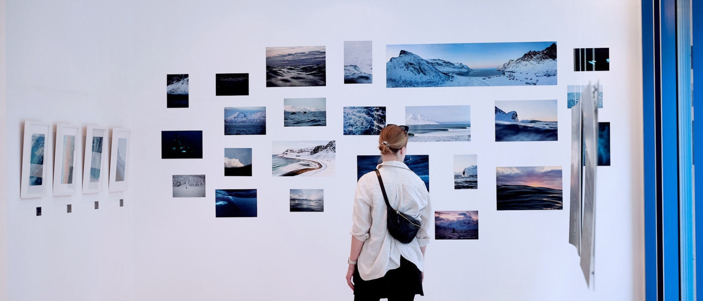 Eine Person betrachtet eine Wand mit Fotografien von Landschaften und Wasser. Die Bilder zeigen verschiedene Naturmotive in kühlen Farbtönen., © OCEAN GALLERY Eine Person betrachtet eine Wand mit Fotografien von Landschaften und Wasser. Die Bilder zeigen verschiedene Naturmotive in kühlen Farbtönen., © OCEAN GALLERY