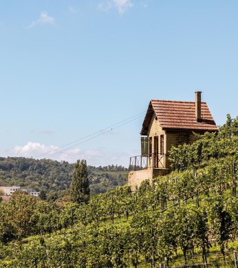 Wine Trail Stuttgart Bad Cannstatt, © Stuttgart-Marketing GmbH, Sarah Schmid