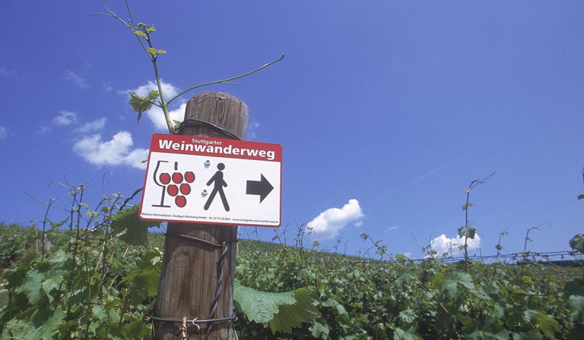 A sign for the Stuttgart Wine Trail on a wooden post in the middle of a vineyard under a blue sky., © Stuttgart-Marketing GmbH A sign for the Stuttgart Wine Trail on a wooden post in the middle of a vineyard under a blue sky., © Stuttgart-Marketing GmbH
