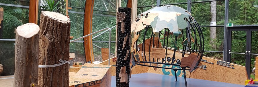 Exhibition with wooden trunks and a decorative globe made of wood and metal, surrounded by large windows with a view of the forest., © Haus des Waldes