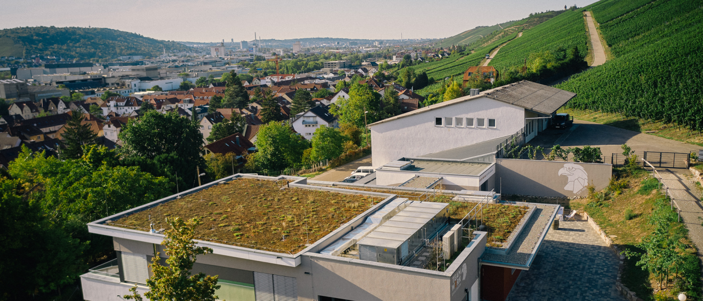 Gebäude mit begrünten Dächern und Weinberge im Hintergrund. Die Stadt erstreckt sich bis zu den Hügeln., © TeamWerk Esslingen Gebäude mit begrünten Dächern und Weinberge im Hintergrund. Die Stadt erstreckt sich bis zu den Hügeln., © TeamWerk Esslingen