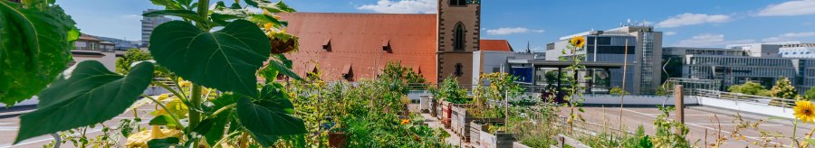 Ein urbaner Garten mit Sonnenblumen und anderen Pflanzen, im Hintergrund die Leonhardskirche und moderne Geb&auml;ude unter blauem Himmel., &copy; Thomas Niederm&uuml;ller