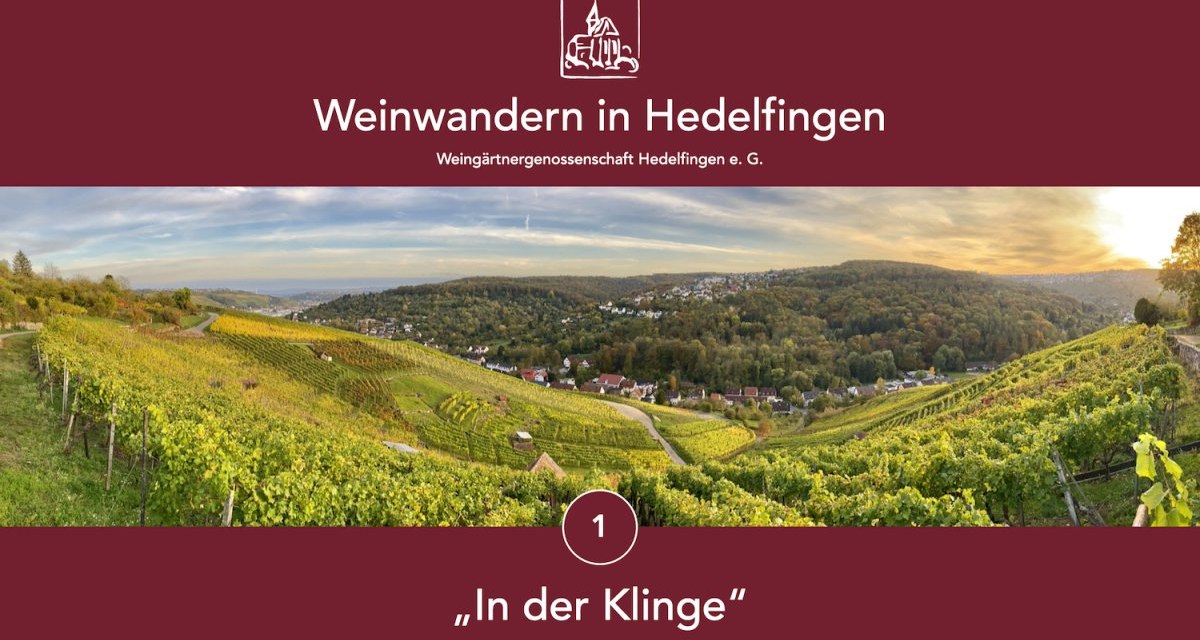 Panoramic view of the vineyards of Hedelfingen, surrounded by hills and houses. The sky is slightly cloudy, the landscape autumnal green., © Lukas Alperowitz Panoramic view of the vineyards of Hedelfingen, surrounded by hills and houses. The sky is slightly cloudy, the landscape autumnal green., © Lukas Alperowitz