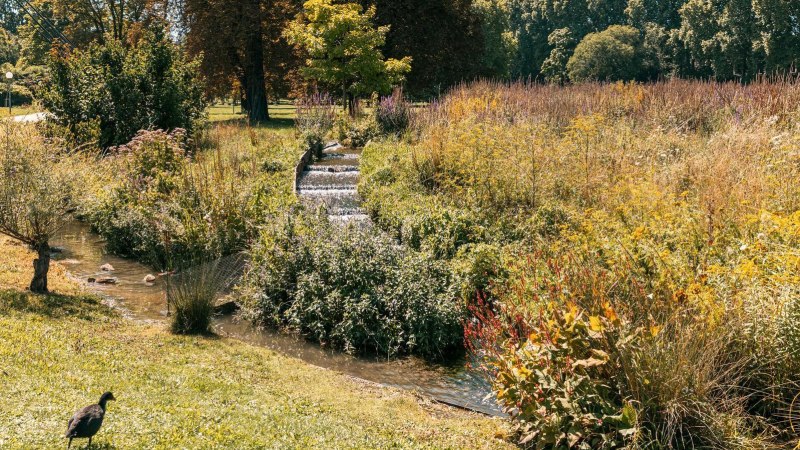Unterer Schlossgarten Nesenbach, © SMG, Sarah Schmid Unterer Schlossgarten Nesenbach, © SMG, Sarah Schmid