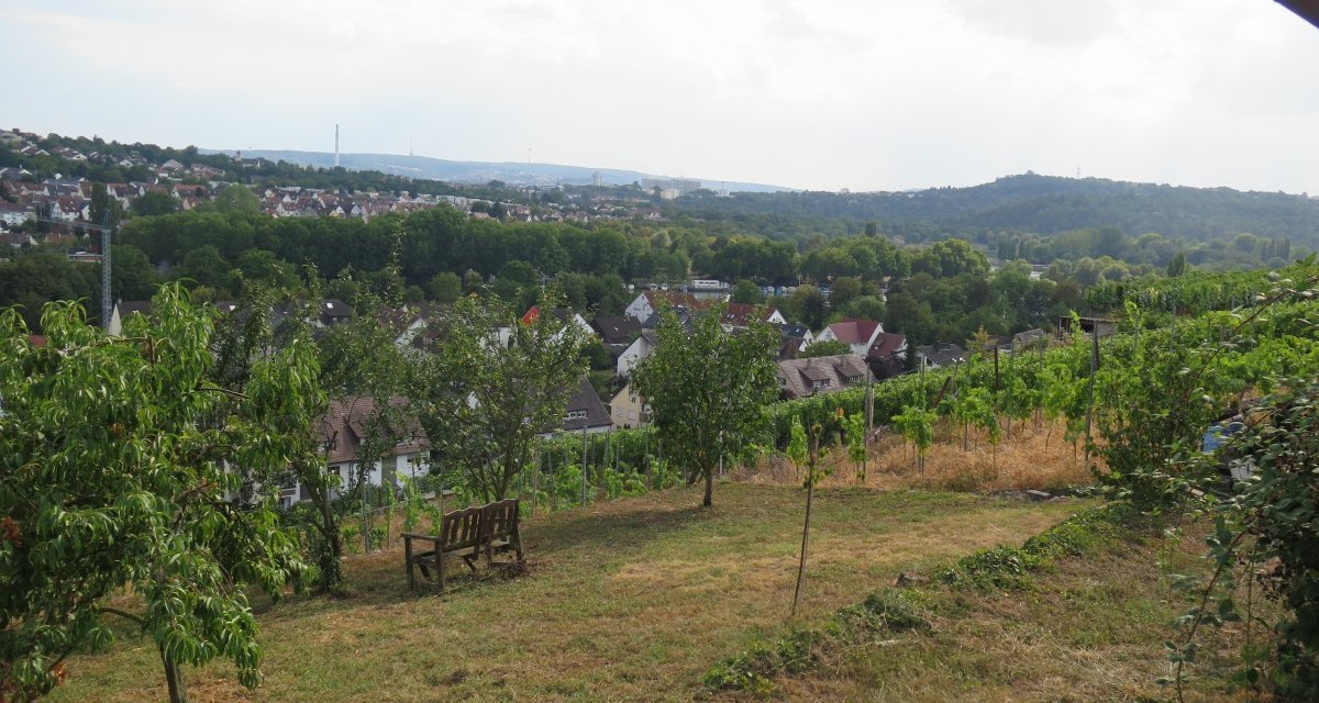 Weinberge mit einer Holzbank im Vordergrund, dahinter eine Stadt und H&uuml;gel. Der Himmel ist bew&ouml;lkt, die Landschaft wirkt ruhig und idyllisch., &copy; Stuttgart-Marketing GmbH
