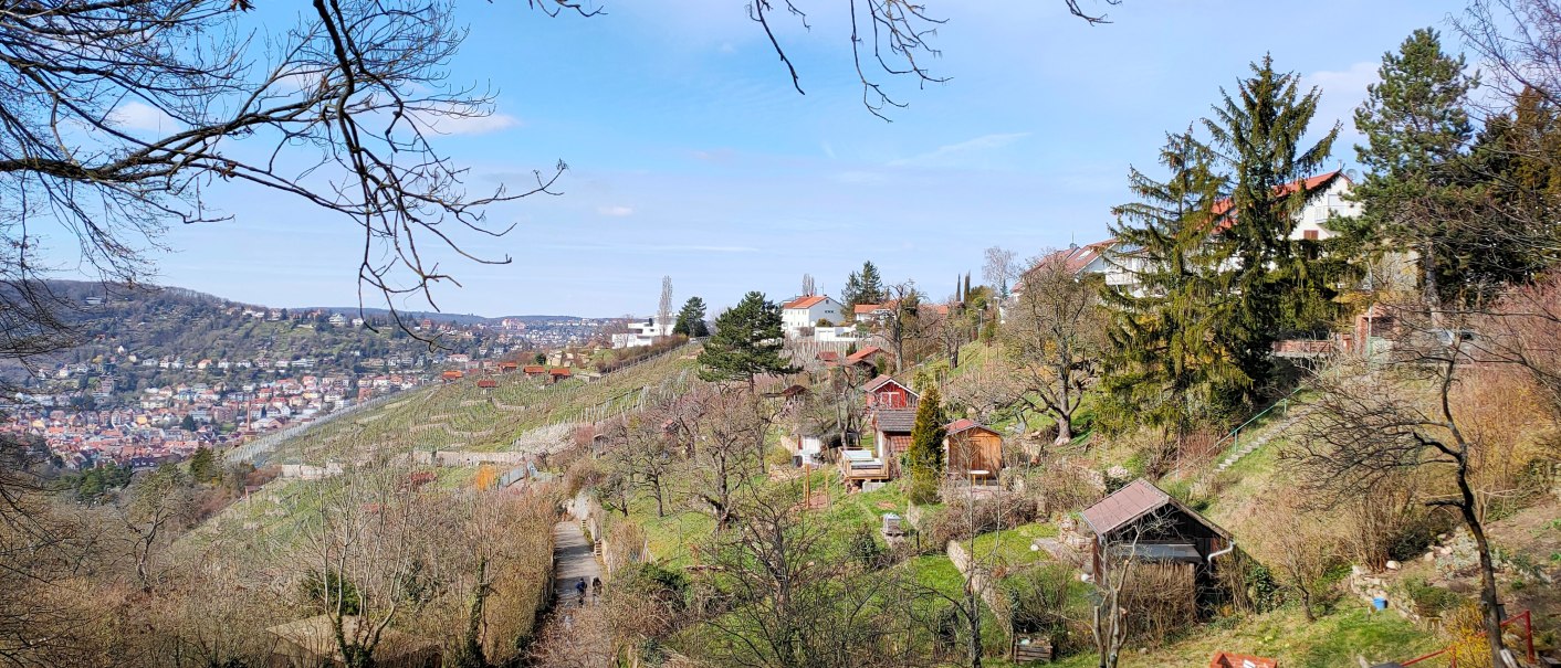 Hügelige Landschaft mit Weinbergen und kleinen Hütten, im Hintergrund eine Stadt. Bäume ohne Blätter rahmen das Bild ein, blauer Himmel., © SMG Hügelige Landschaft mit Weinbergen und kleinen Hütten, im Hintergrund eine Stadt. Bäume ohne Blätter rahmen das Bild ein, blauer Himmel., © SMG