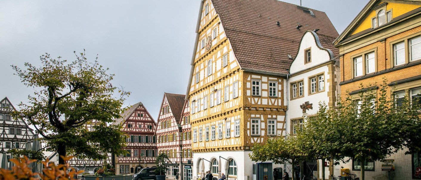 Half-timbered houses on the market square in Leonberg. The buildings are decorated in traditional colors, surrounded by trees and a cloudy sky., © Stuttgart-Marketing GmbH, Sarah Schmid Half-timbered houses on the market square in Leonberg. The buildings are decorated in traditional colors, surrounded by trees and a cloudy sky., © Stuttgart-Marketing GmbH, Sarah Schmid
