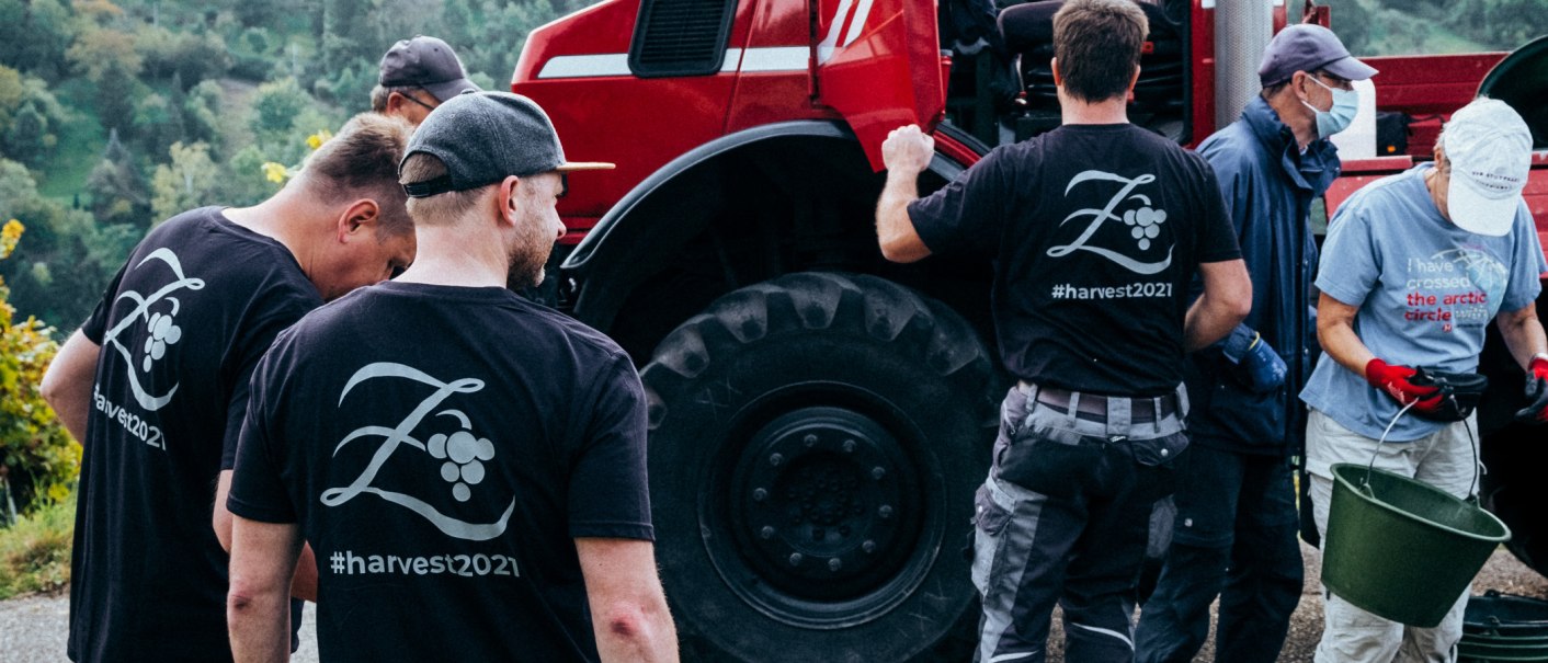 People at the grape harvest wearing T-shirts with "#harvest2021". A red tractor stands in the background. One person is holding a bucket., © Weingut Zaiß