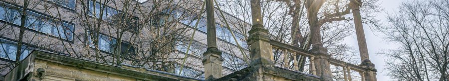 The ruins of the Neues Lusthaus with stone arches and columns, surrounded by bare trees. Rays of sunlight shine through the branches., &copy; Stuttgart-Marketing GmbH, Sarah Schmid