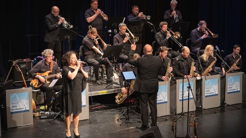 20 Jahre Bosch Jazz Orchestra, © armin maier 20 Jahre Bosch Jazz Orchestra, © armin maier
