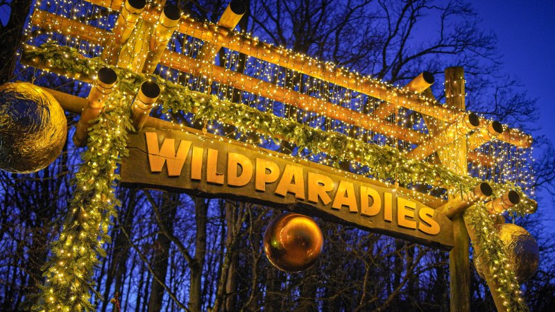Eingangstor mit der Aufschrift 'Wildparadies', geschmückt mit Lichterketten und Tannenzweigen, vor einem dunklen Himmel., © Erlebnispark Tripsdrill Eingangstor mit der Aufschrift 'Wildparadies', geschmückt mit Lichterketten und Tannenzweigen, vor einem dunklen Himmel., © Erlebnispark Tripsdrill