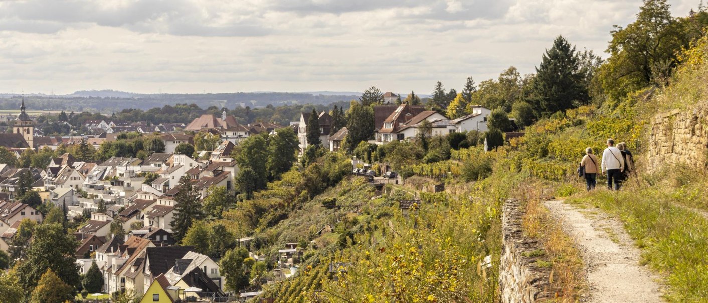 Panoramic view of Bietigheim-Bissingen: vineyards in the foreground, a church and houses in the background. Three people are walking along a path., © SMG Stuttgart Marketing GmbH - Sarah Schmid Panoramic view of Bietigheim-Bissingen: vineyards in the foreground, a church and houses in the background. Three people are walking along a path., © SMG Stuttgart Marketing GmbH - Sarah Schmid