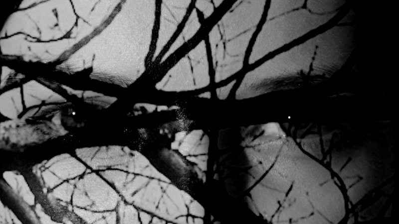 Schwarz-weiß Bild mit überlagerten Baumzweigen und Augen, die durch die Zweige hindurchblicken. Mystische und künstlerische Atmosphäre., © Filmstill Obscura: Luna Wagner Rodriguez Schwarz-weiß Bild mit überlagerten Baumzweigen und Augen, die durch die Zweige hindurchblicken. Mystische und künstlerische Atmosphäre., © Filmstill Obscura: Luna Wagner Rodriguez
