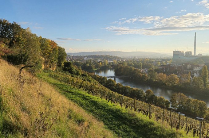 Hügelige Landschaft mit Weinreben, Fluss und Stadt im Hintergrund bei Sonnenaufgang., © Cool-Tours StattReisen Hügelige Landschaft mit Weinreben, Fluss und Stadt im Hintergrund bei Sonnenaufgang., © Cool-Tours StattReisen