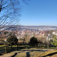 Blick auf den Talkessel von Stuttgart mit kahlen B&auml;umen im Vordergrund und klarem, blauem Himmel., &copy; SMG