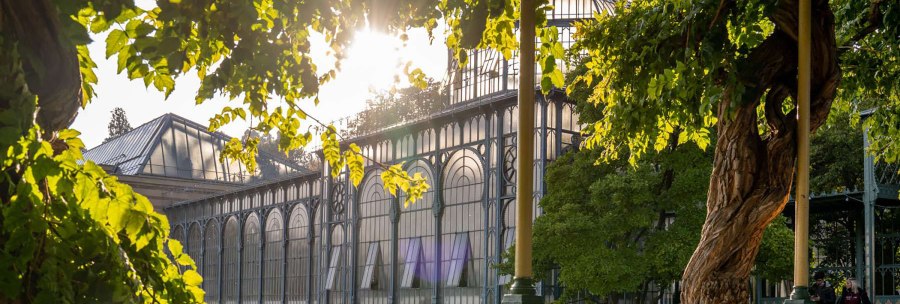The Wilhelma greenhouse in the sunlight, surrounded by green trees and a curved tree trunk in the foreground., © Stuttgart-Marketing GmbH, Martina Denker