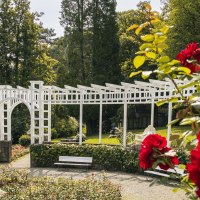 A rose garden with red roses in the foreground, a white pergola and a statue in the background. Trees surround the garden., &copy; Stuttgart-Marketing GmbH, Sarah Schmid