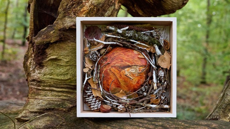 Ein Holzkasten mit einem schlafenden Fuchs aus Holz, umgeben von Zweigen und Blättern, hängt an einem Baum im Wald., © Mitaly Mukherjee Ein Holzkasten mit einem schlafenden Fuchs aus Holz, umgeben von Zweigen und Blättern, hängt an einem Baum im Wald., © Mitaly Mukherjee